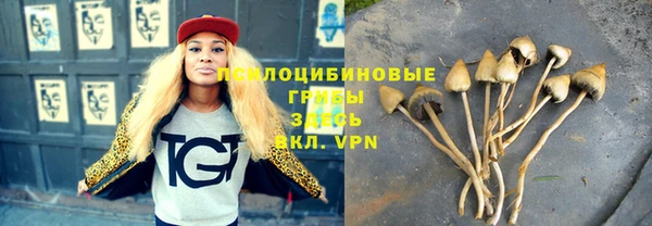 ПСИЛОЦИБИНОВЫЕ ГРИБЫ Верхнеуральск