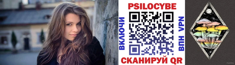 Галлюциногенные грибы Psilocybine cubensis  Стерлитамак 